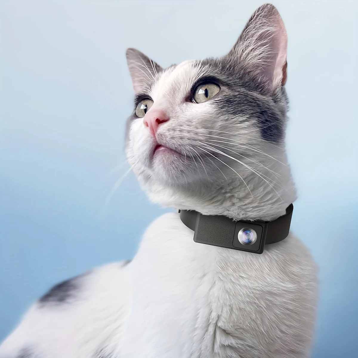 Discover the BORME HD 1080P Wireless Pet Collar Camera for Your Furry Friends 🐶🐱
