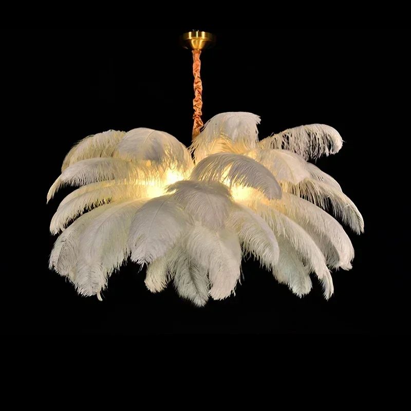 Bring Magic & Warmth to Your Home with Feather Art Light ✨
