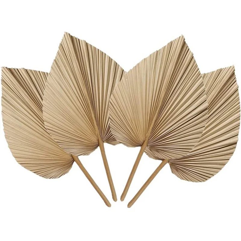 Natural Dried Palm Leaves - 4 Pack