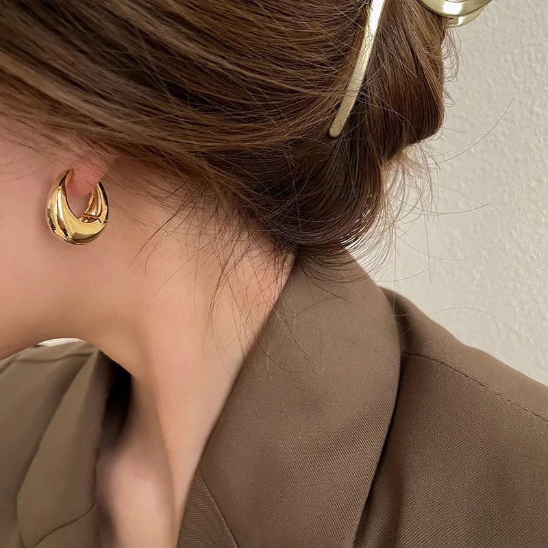 Chic Stainless Steel Hoop Earrings
