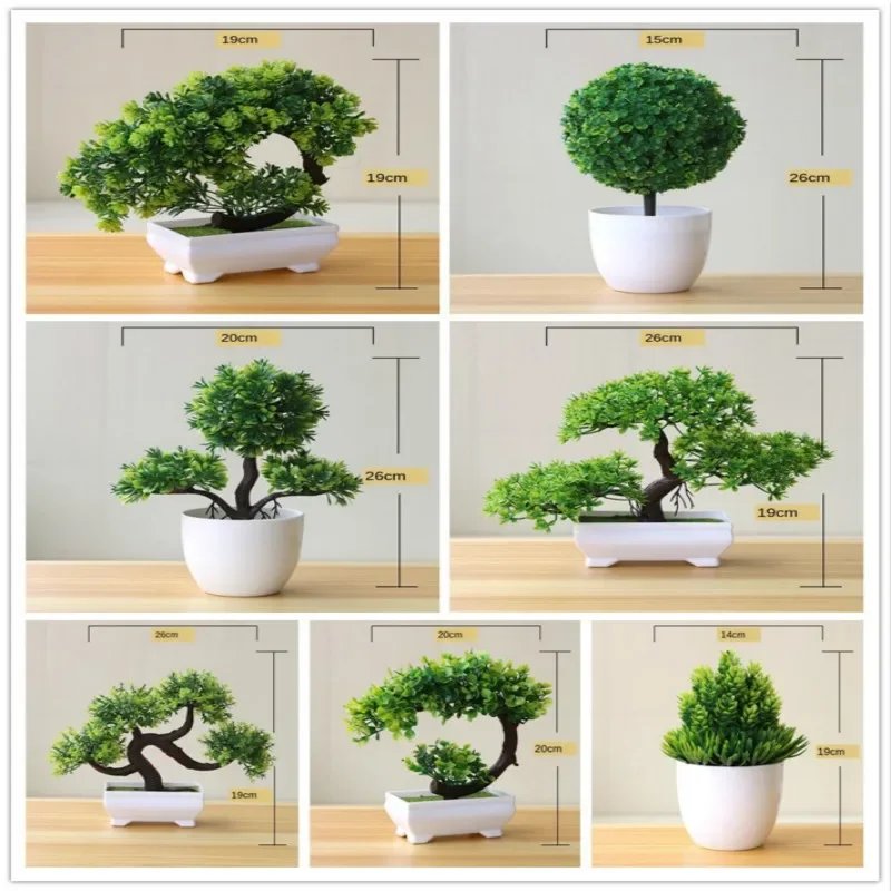 Elegant Potted Bonsai Plant