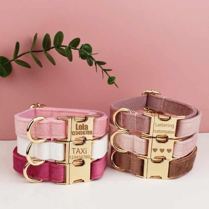 Personalized Velvet Dog Collar & Leash