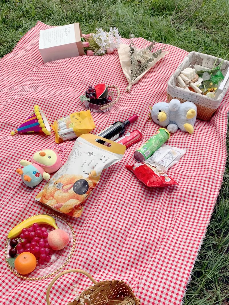 Foldable Gingham Picnic Blanket