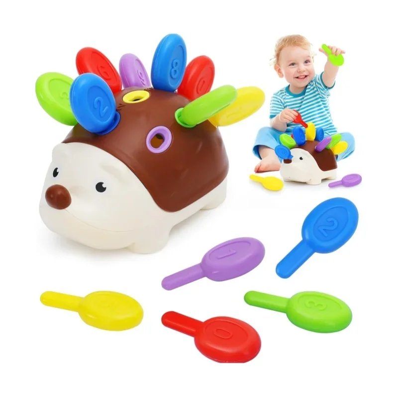 Montessori Sensory Hedgehog Toy