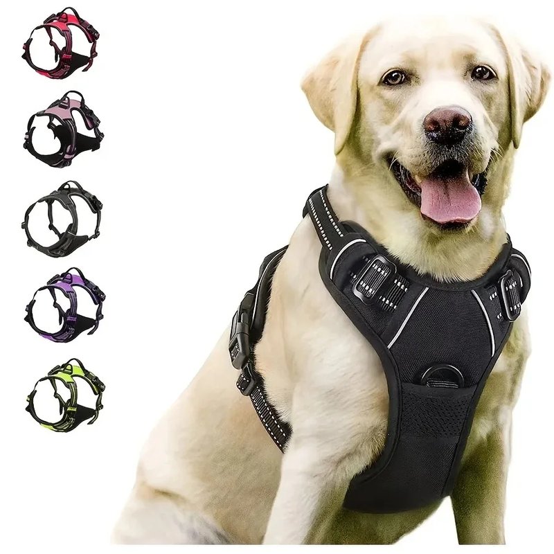Stylish Leather Dog Harness Set