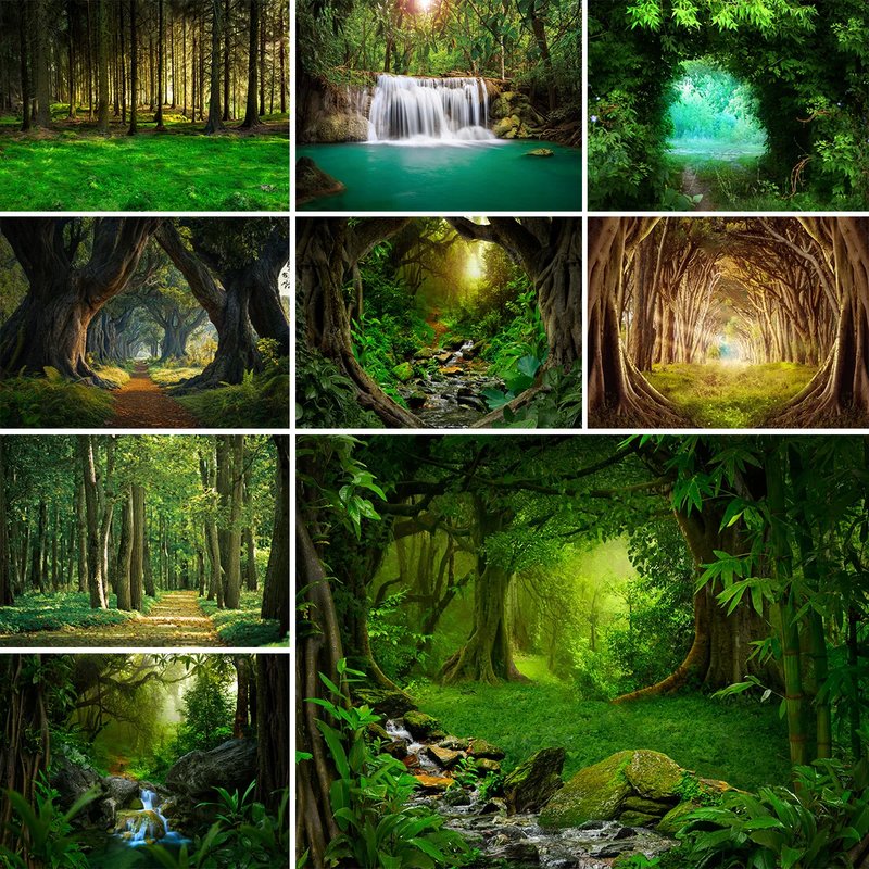 Tropical Jungle Photography Backdrop