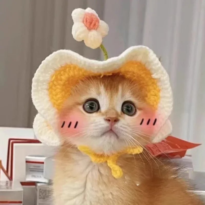 Cute Knitted Cat Hat for Pets