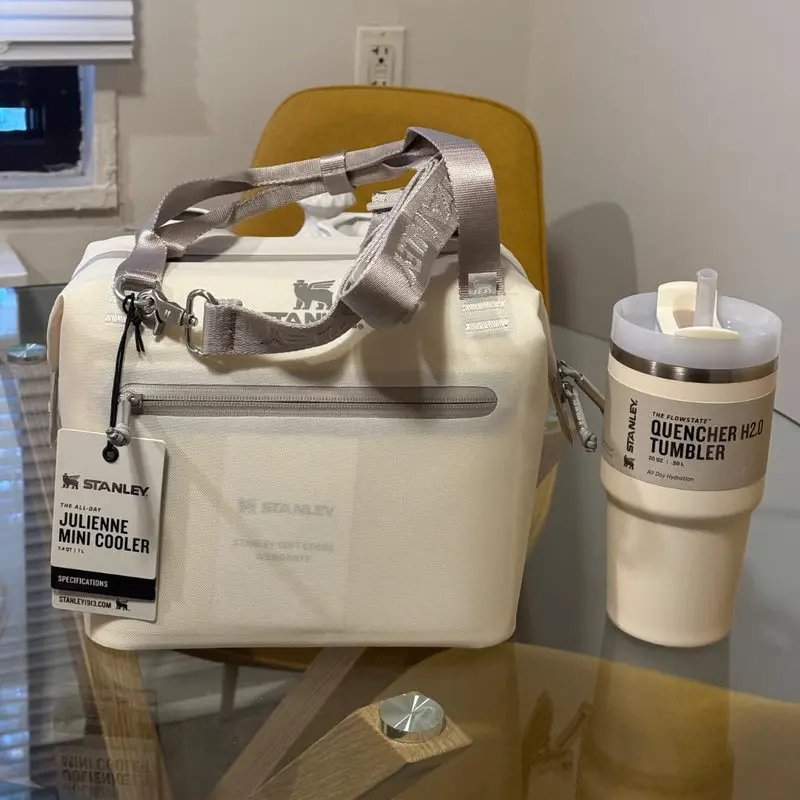 Insulated Mini Cooler Lunch Bag