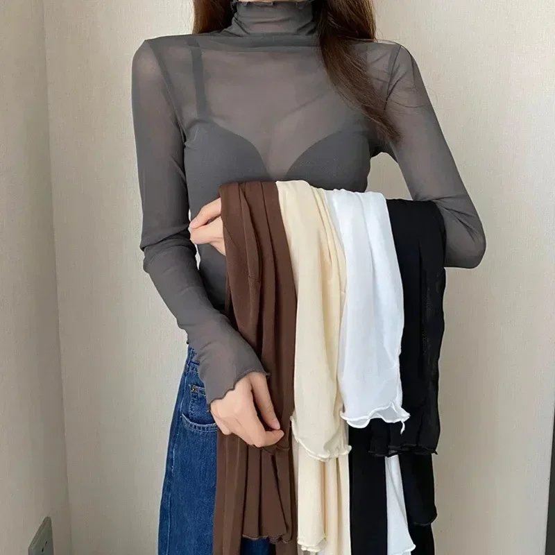 Sheer Long Sleeve Turtleneck Top
