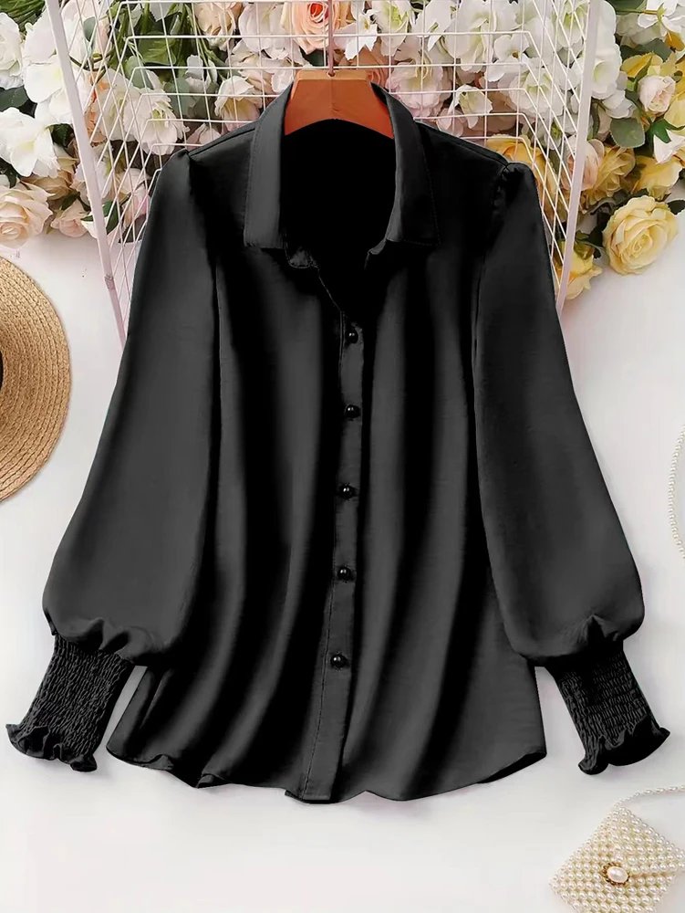 Plus Size Casual Puff Sleeve Blouse