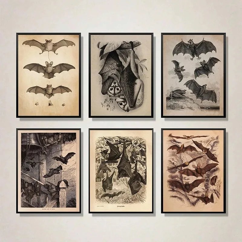 Vintage Bat Art Canvas Print
