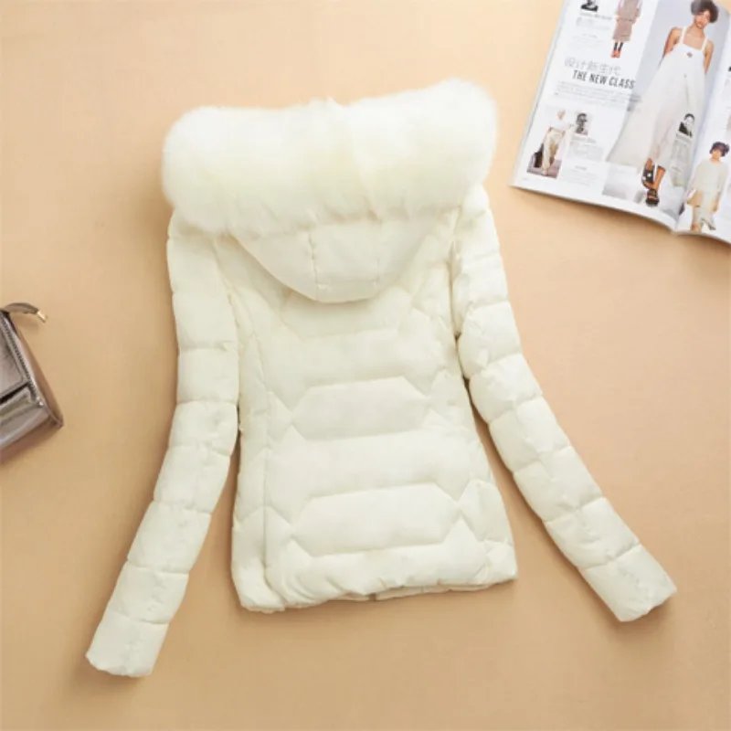 Korean Vintage Winter Down Jacket