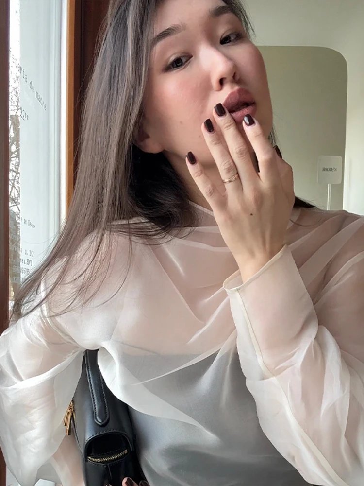 Chic Sheer Organza Blouse