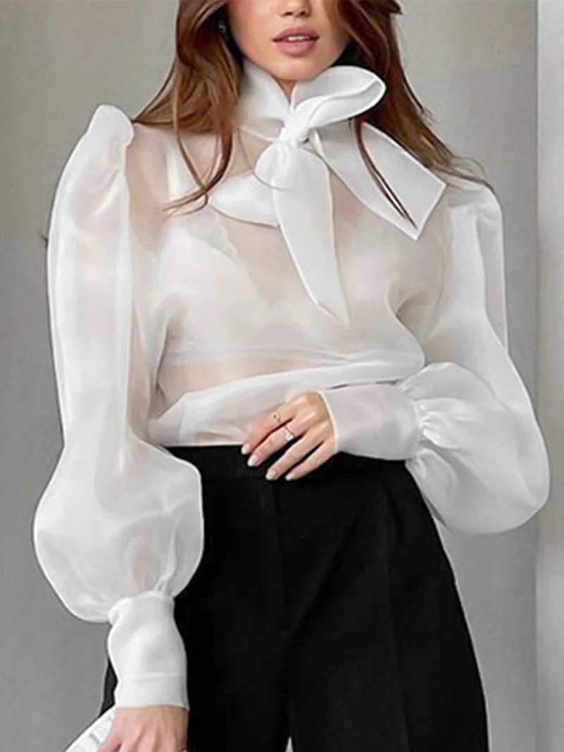 Elegant Mesh Organza Blouse for Women