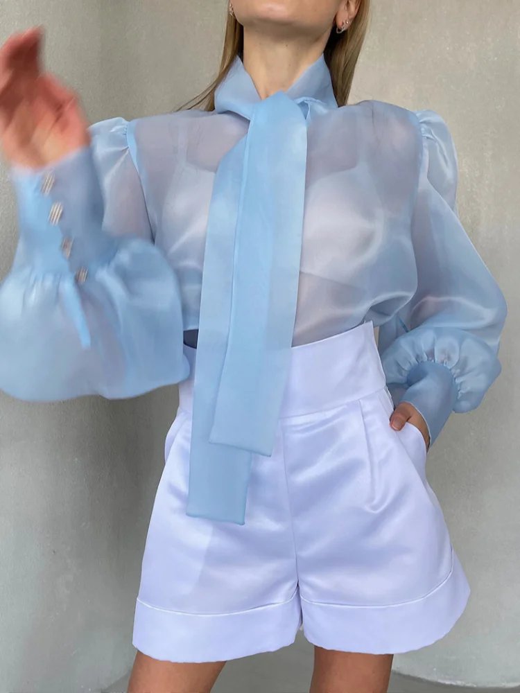 Elegant Light Blue Organza Blouse