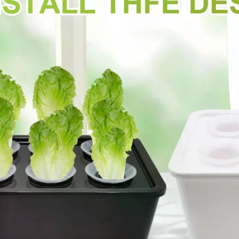 Hydroponic Seedling Kit