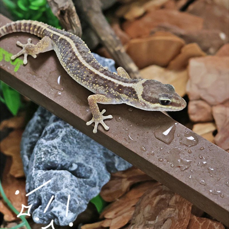 Trimmable Foam Climbing Stick for Reptiles