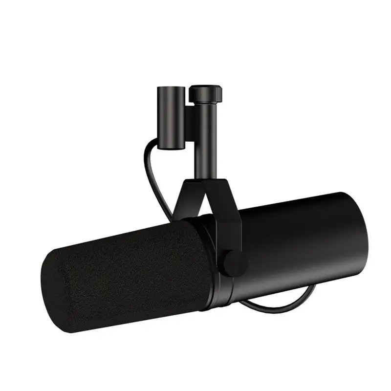 Professional Dynamic Microphone