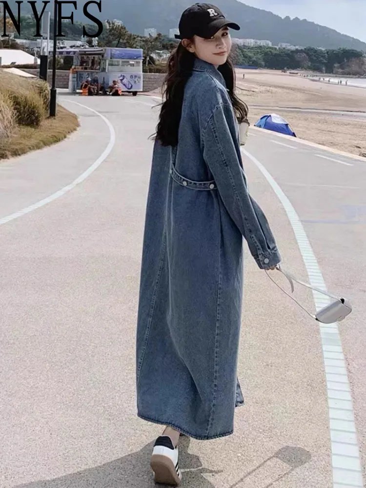 Chic Plus Size Denim Dress