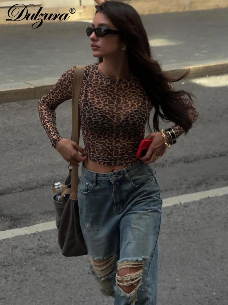 Leopard Print Mesh Long Sleeve Top