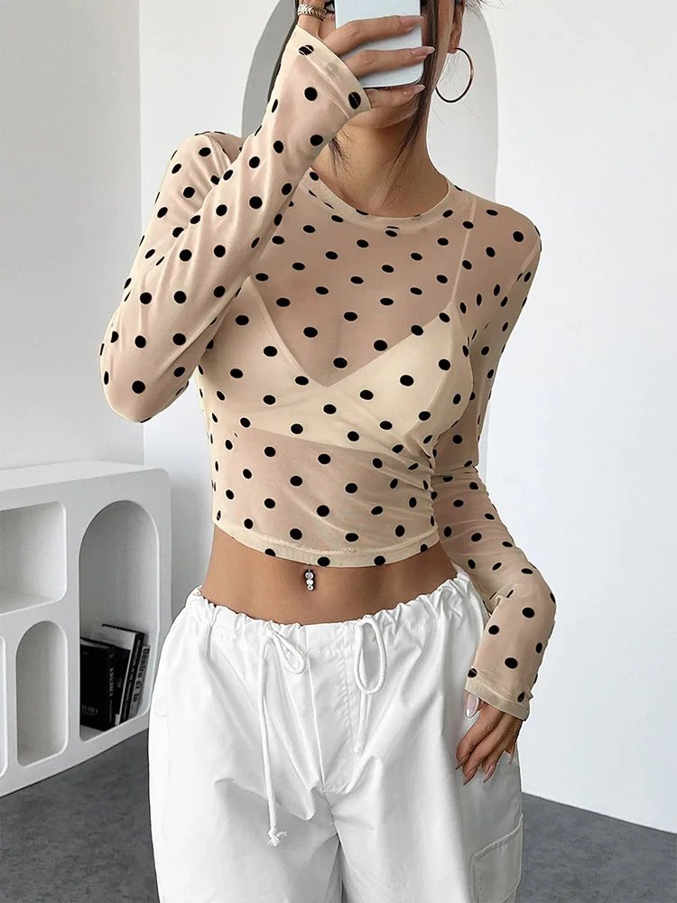 Sheer Polka Dot Mesh Crop Top
