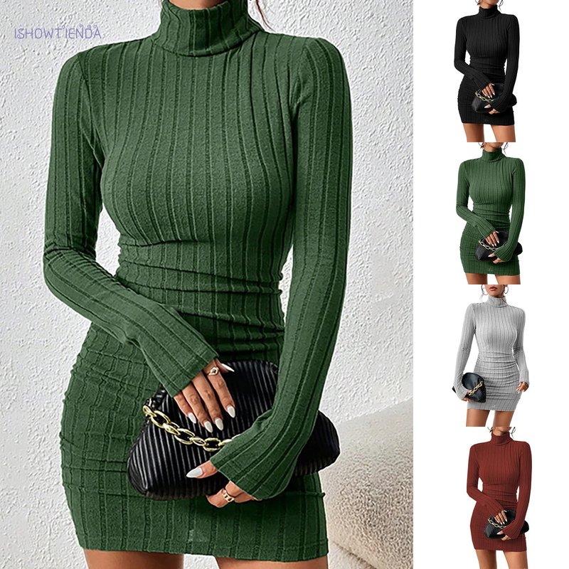 Elegant Turtleneck Mini Dress